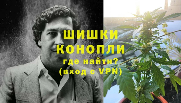 PSILOCYBIN Горнозаводск