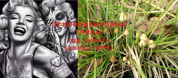 PSILOCYBIN Горнозаводск